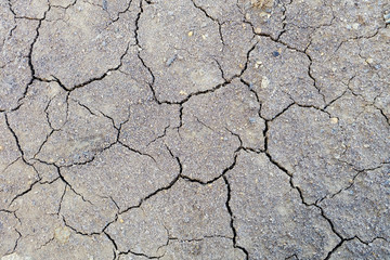 dry soil cracked background