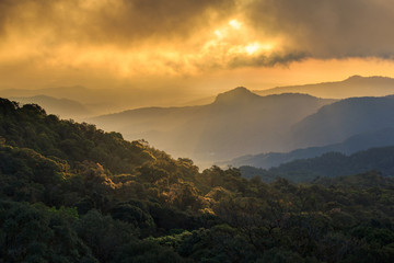 Golden sunbeams of autumn on a misty of Inthanon Mountain, Chiang Mai, Thailand