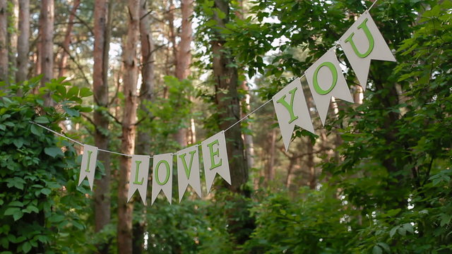 Letters on line between trees in the forest with the text I love