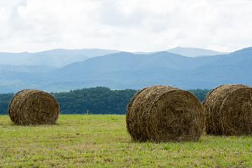 牧草ロールのある風景