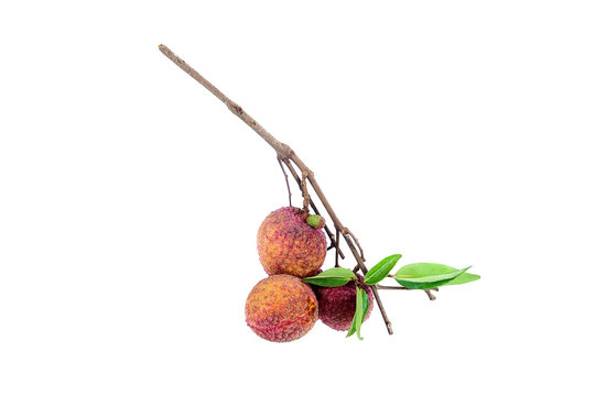 lychee (Litchi) isolated on white background