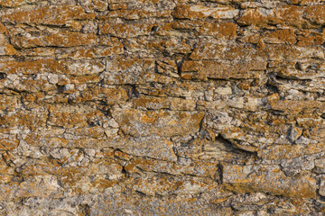 Old stone wall texture with moss