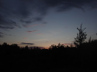 Не яркий закат и тёмные силуэты деревьев на его фоне