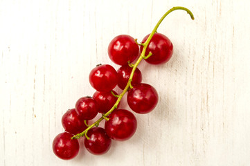 Red Currant