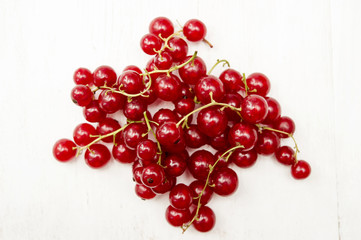 Red Currant
