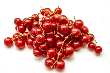 Red Currant
