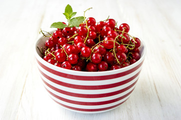 Red Currant