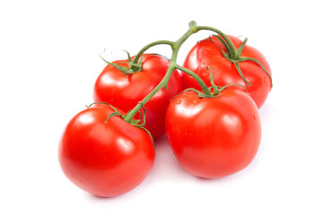 A branch of fresh tomatoes on white background.