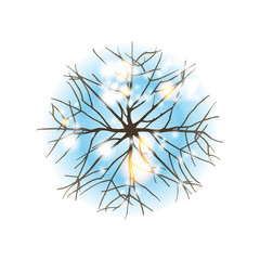 Fototapeta premium winter tree top view