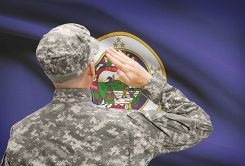 Soldier saluting to US state flag series - Minnesota
