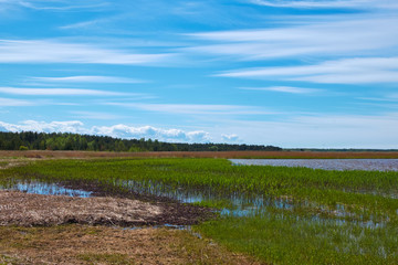 wetland coastlinewetland coastline