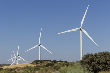 Wind farm in a Mediterranean shrubland ecosystem