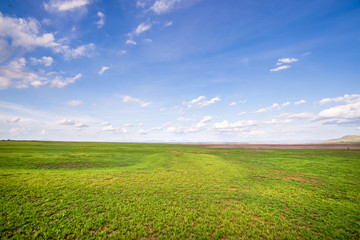 Blue sky and green grass field