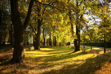 summer sunset landscape fantastic
