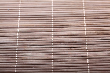 wood background texture old tree