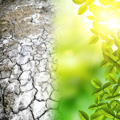 Natural green background