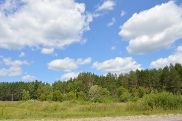 Fototapeta premium Июль