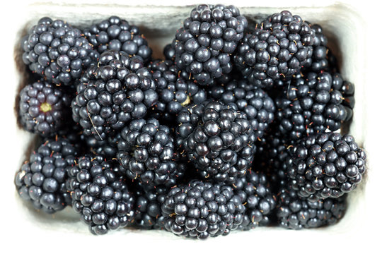 Brombeeren in einer Schale
