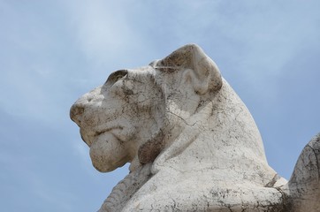 Obraz premium Statue de lion à Rome