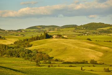 Fototapeta na wymiar Tuscany hills