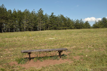 Bench in landscape