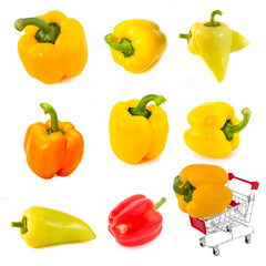 Collection of pepper isolated on white background