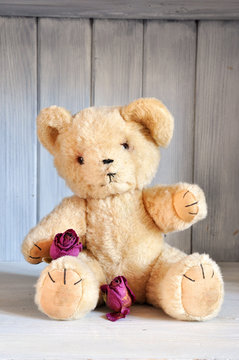 Teddy bear and roses