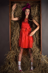 doll in red dress from the box with hay