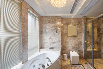 luxury bathroom interior and decoration
