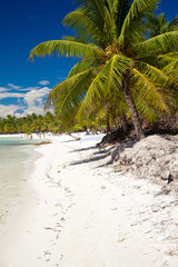 Obraz na płótnie Canvas A beautiful image of caribbean beach