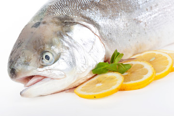 Trout