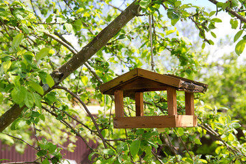 Fototapeta na wymiar Birdhouse on apple tree
