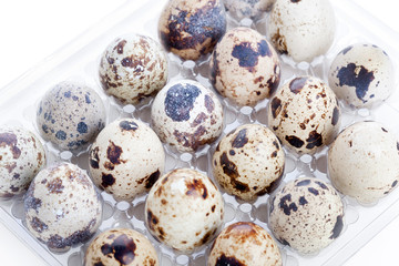 Obraz premium Quail eggs in plastic container