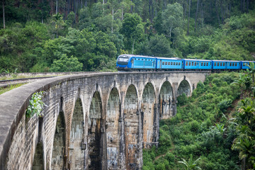 Train passing over Nine Arches Bridge in Demodara