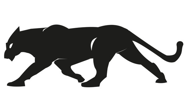 Schwarzer Panther, Panter, Leopard