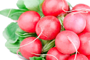 Bunch of garden radish, macro