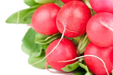 Bunch of garden radish, macro