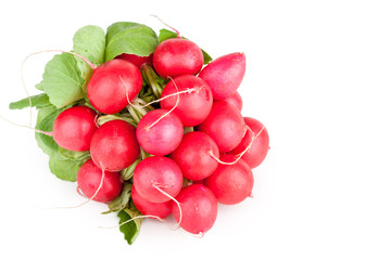 Bunch of garden radish