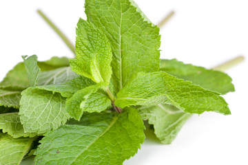 Leafs of mint