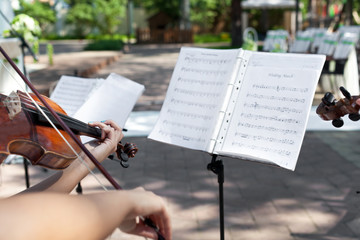 Playing on violin on wedding ceremony