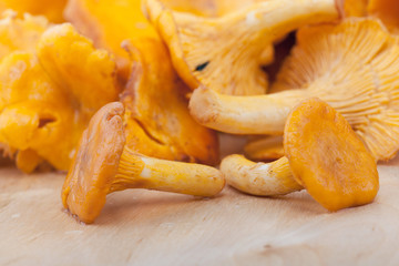 Chanterelles on wooden table