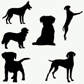  Dogs silhouettes on white background(vector pack)