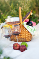 Outdoor picnic setting with red wine