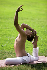 Beautiful King pigeon pose
