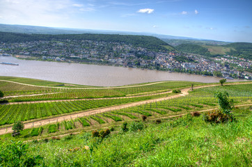 Fototapeta na wymiar Blick auf Bingen am Rhein