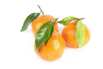 Mandarins with leafs