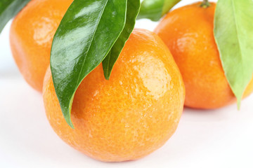Tangerines with leafs on white