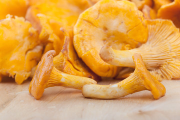 Chanterelles on  table