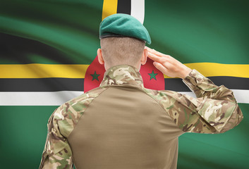 National military forces with flag on background conceptual series - Dominica