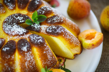 Cottage cheese casserole with apricots